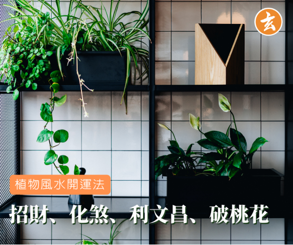 植物風水開運法